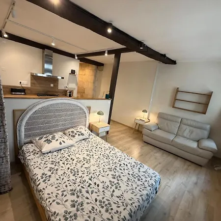 Grand Dans Le Centre Historique Apartment Périgueux