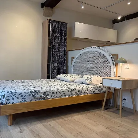 Grand Dans Le Centre Historique Apartamento